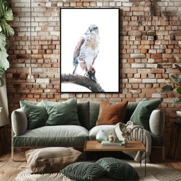 Majestic Hawk On A Snowy Branch Poster