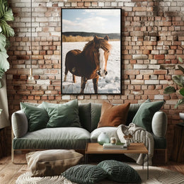 Winter Horse in the Snow Poster