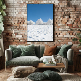 Winter Tranquility: Nature's Beauty in National Park Poster