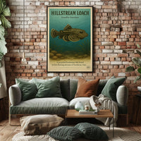 Hillstream Loach Sewellia Lineolata Poster