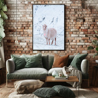 Winter Serenity A Lone Sheep Poster