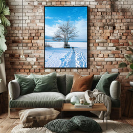 Winter Serenity Poster