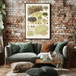 Great Barrier Reef Corals Poster