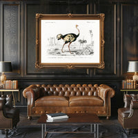 Ostrich Exploration in Ancient Continent Animal Poster