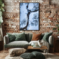 Winter Stream Aerial View Poster
