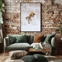 Red Fox Leaping in Snow Animal Poster