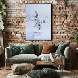 Solitary Snow-Covered Tree Poster