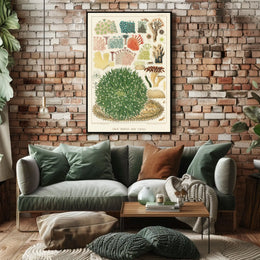 Great Barrier Reef Corals Poster