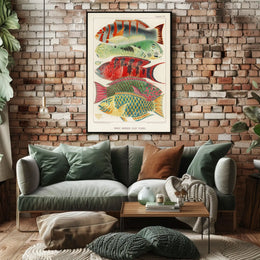 Great Barrier Reef Fishes Poster