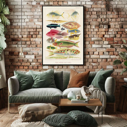 Great Barrier Reef Fishes Poster