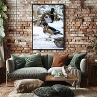 Winter Serenity Ducks In Snow Poster