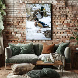 Winter Serenity Ducks In Snow Poster