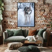 Winter Wolf In The Snow Poster