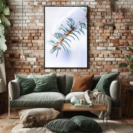 Winters Touch on Pine Poster