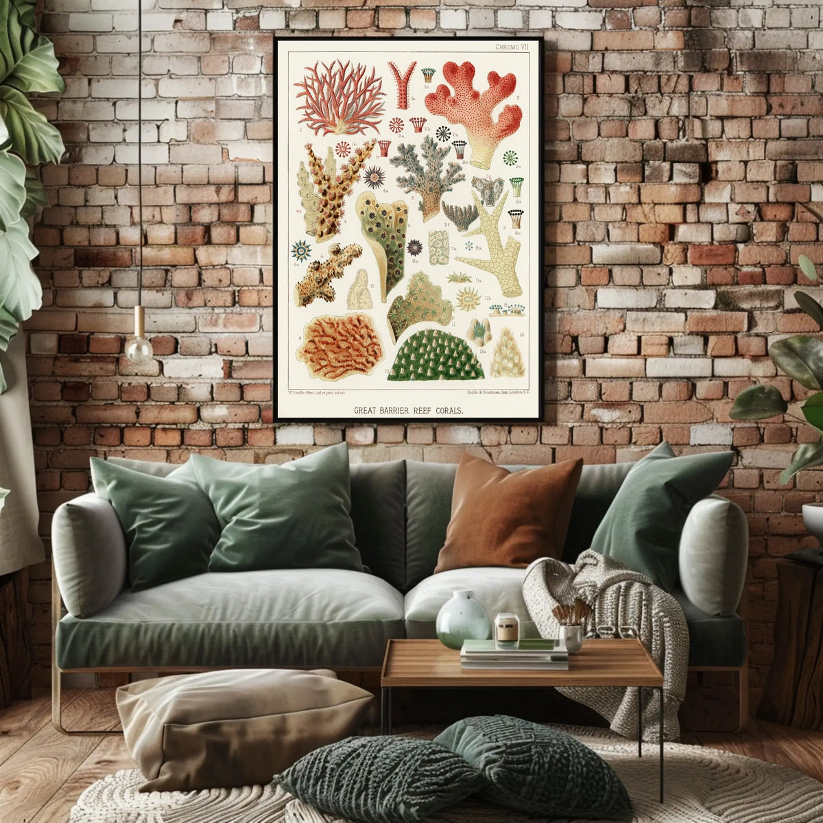 Great Barrier Reef Corals Poster