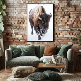 Majestic Bison in Winter Poster