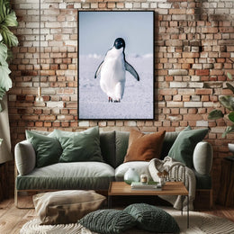 Penguin On Ice Poster