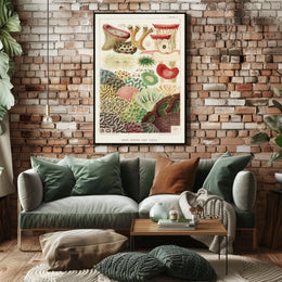 Great Barrier Reef Corals Poster