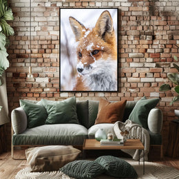 Winter Fox Poster