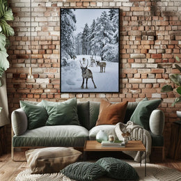 Winter Wonderland With Reindeer Poster