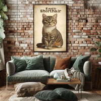 Exotic Shorthair Cat Portrait Photography Realism Poster