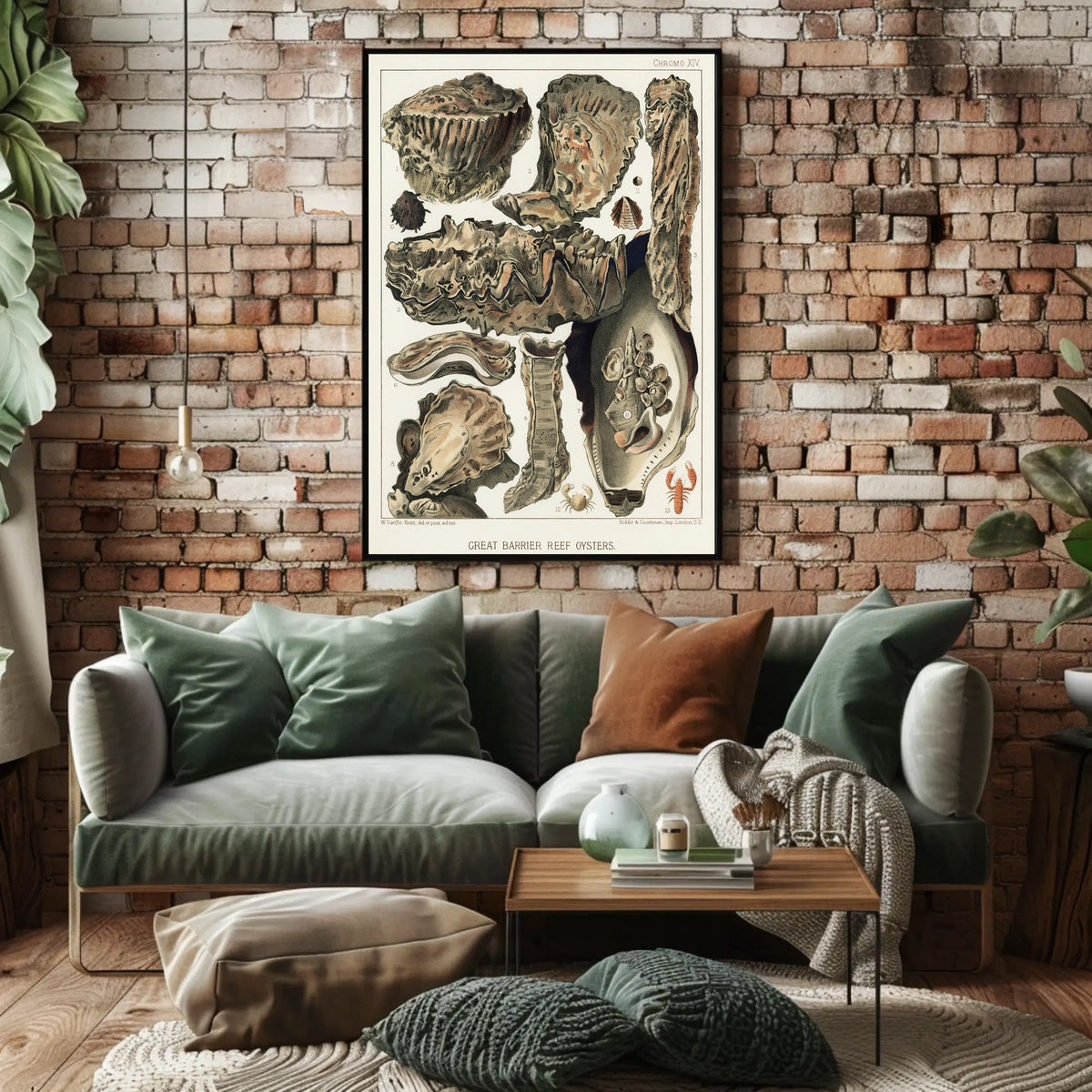 Great Barrier Reef Oysters Poster