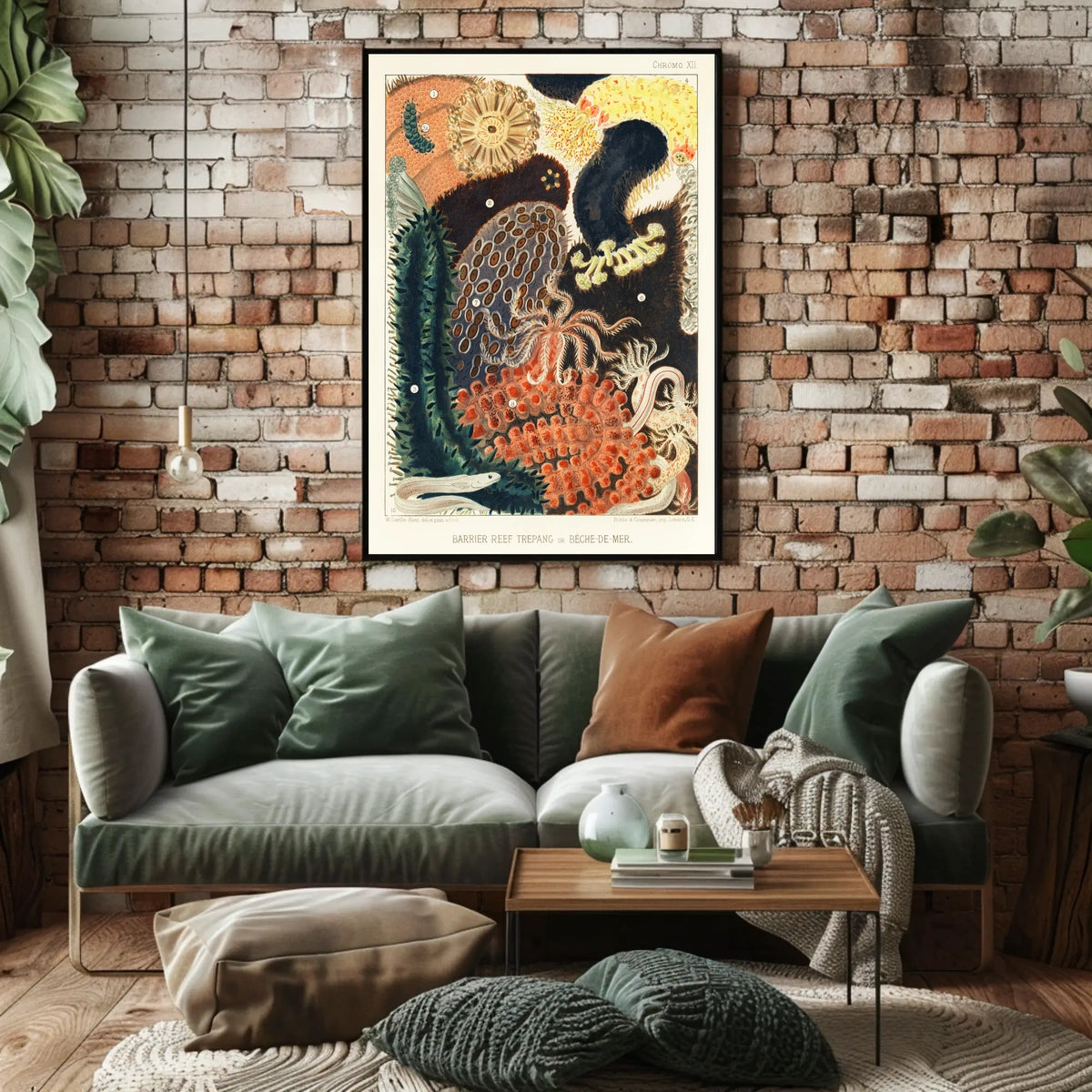 Barrier Reef Trepang Poster