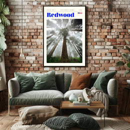 Redwood National Park Scenic Poster Wall Art Print