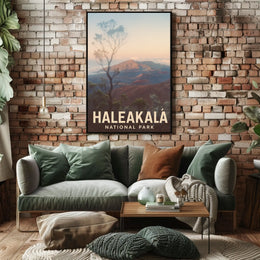 Haleakalā National Park Poster