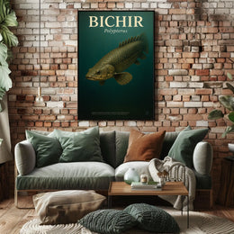 Bichir Polypterus Poster