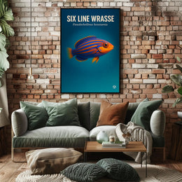 Six Line Wrasse Poster PosterGoat