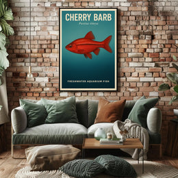 Cherry Barb Freshwater Aquarium Fish Poster PosterGoat