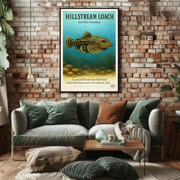 Hillstream Loach Sewellia lineolata Poster PosterGoat