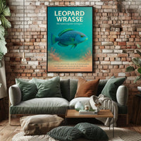 Leopard Wrasse A Vibrant Reef Poster