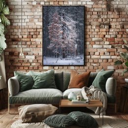 WinterS Embrace Poster