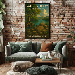 Salt River Bay Virgin Islands Poster