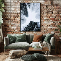 Winter Canopy Poster