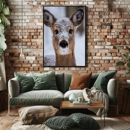 Winter Wonder Poster