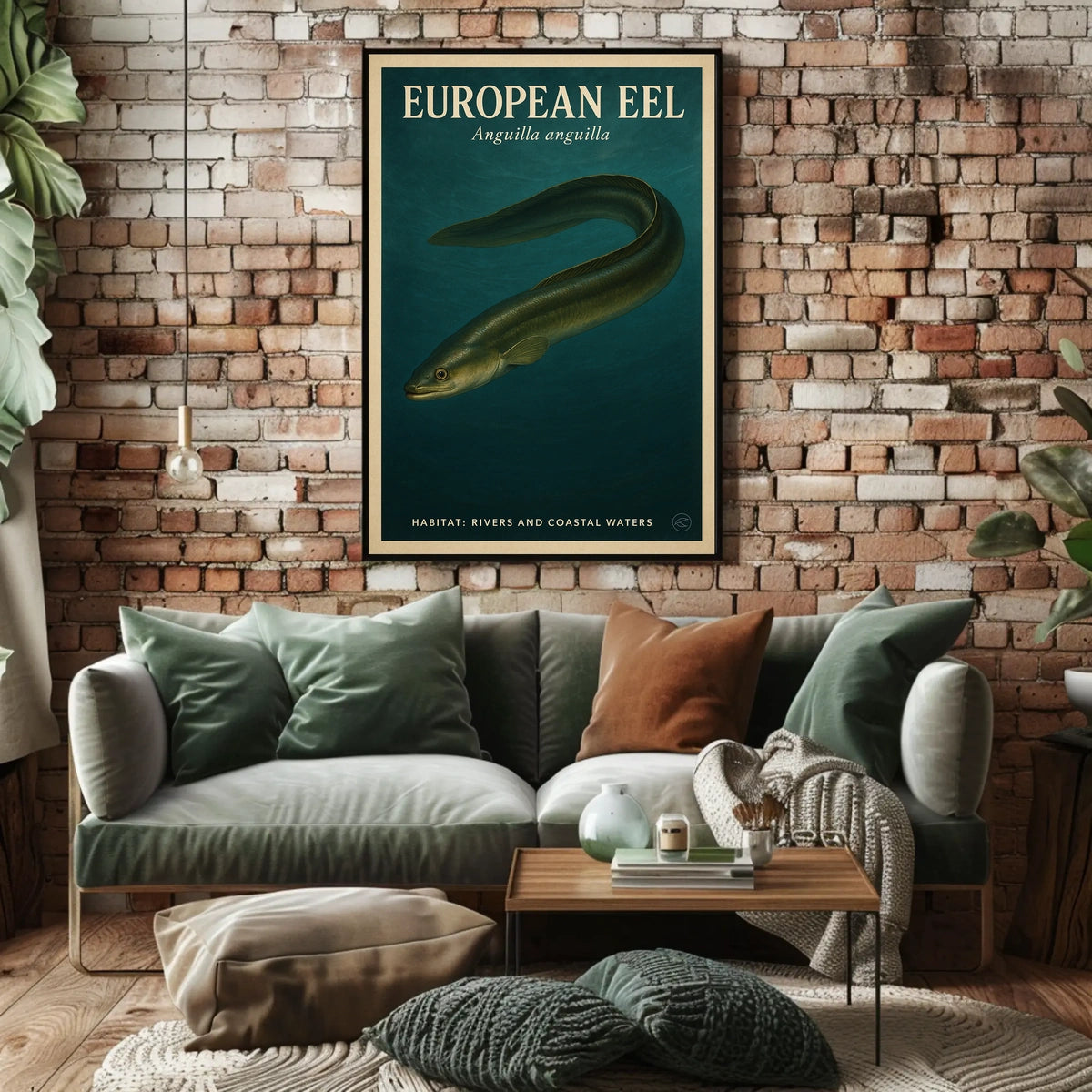 European Eel Anguilla Anguilla Poster