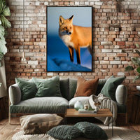 Majestic Fox In The Wild Poster