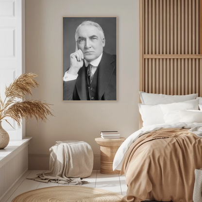 Warren Harding 29th President Of The United States Photo