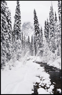 Winter Wonderland Photorealistic National Park Poster