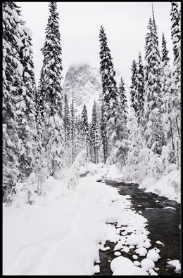 Winter Wonderland Photorealistic National Park Poster
