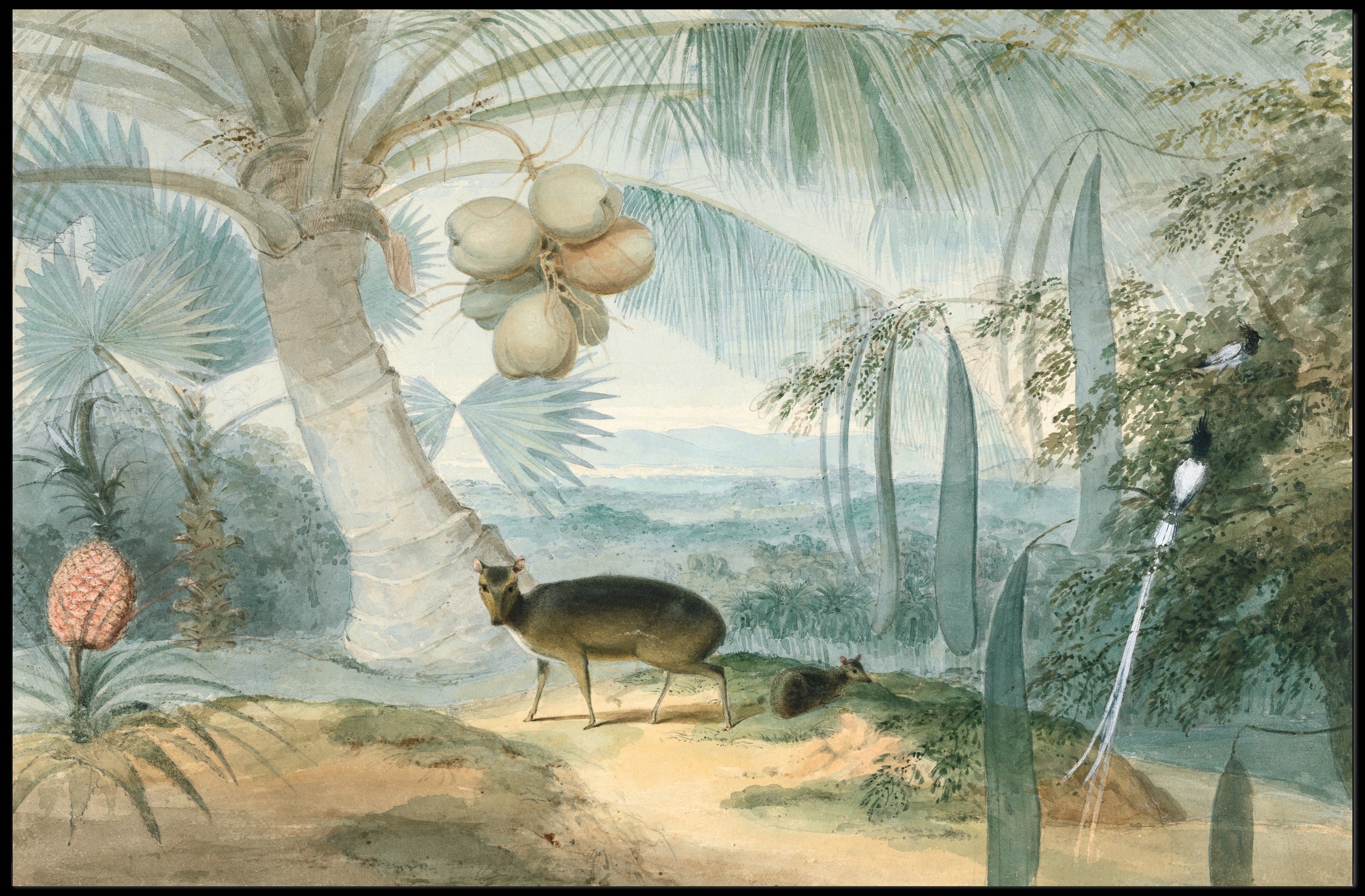 Tropical Wilderness Scene Poster