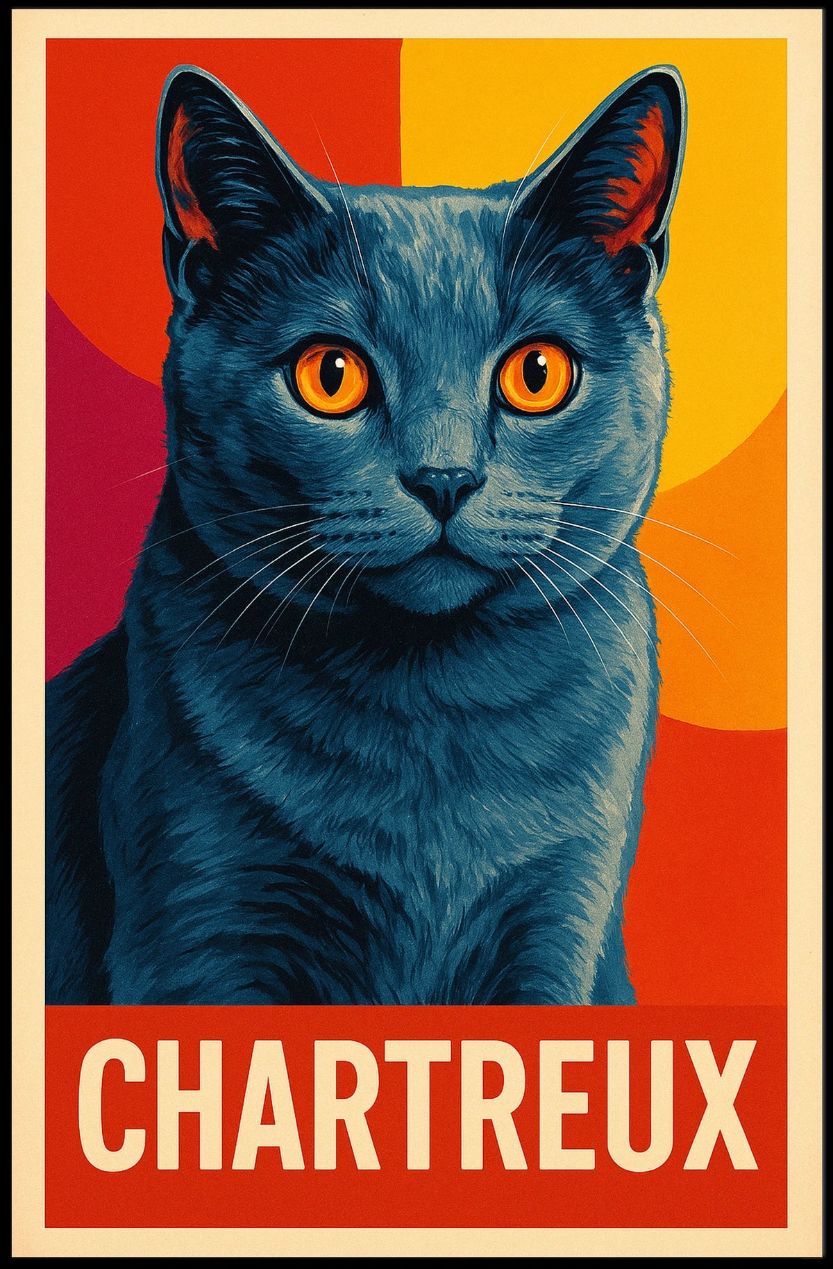 Chartreux Cat Poster