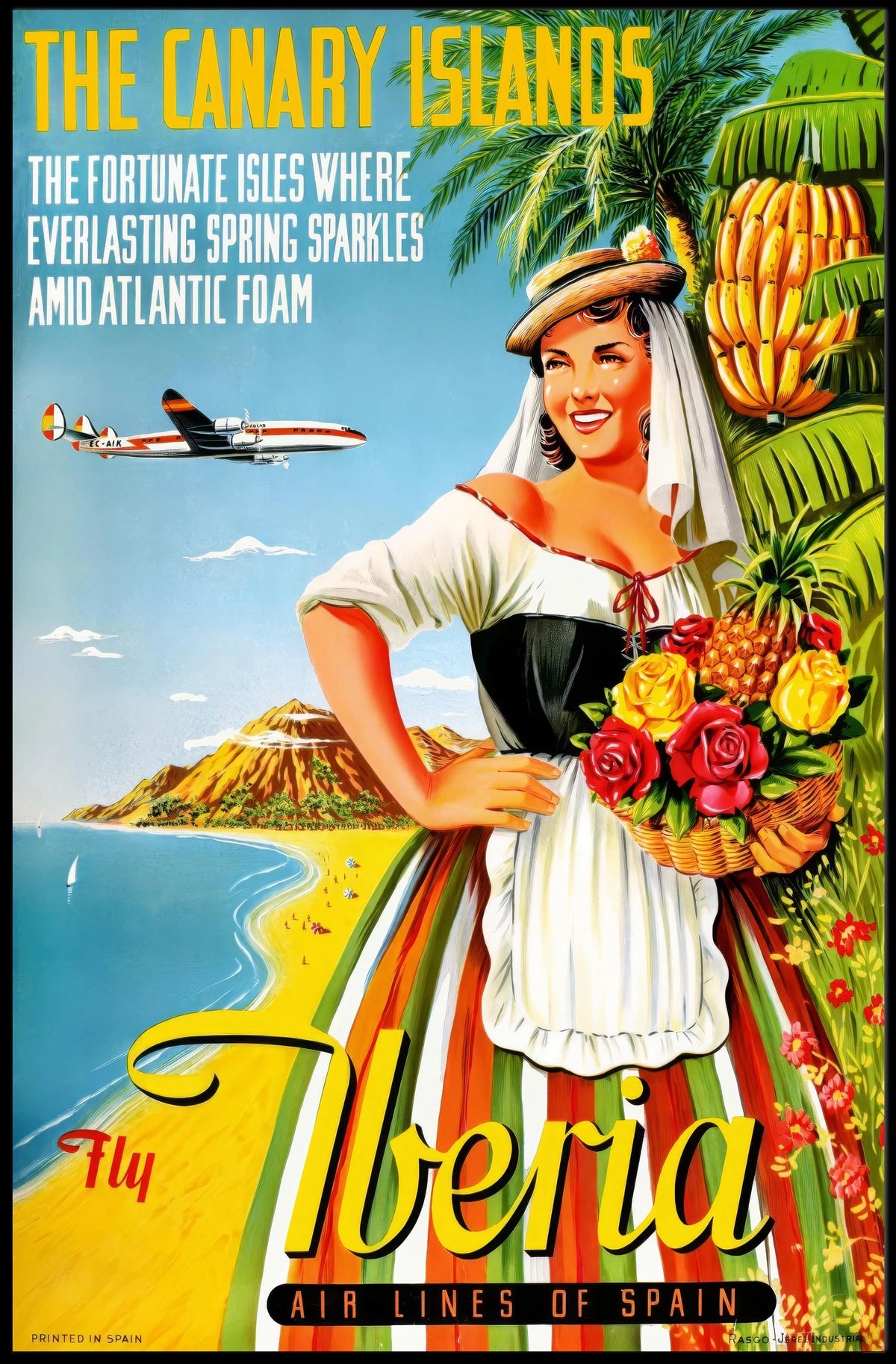 Discover The Canary Islands Poster