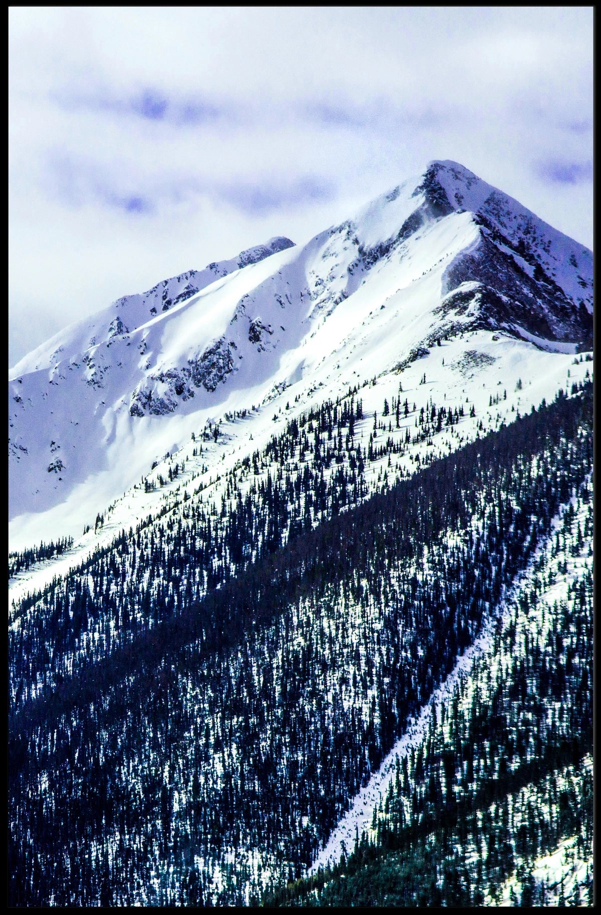 Majestic Snow-Capped Mountain Poster