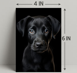 Portrait Of A Black Labrador Puppy Poster PosterGoat