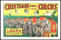 Cristiani Bros. Wild-Animal Circus Poster