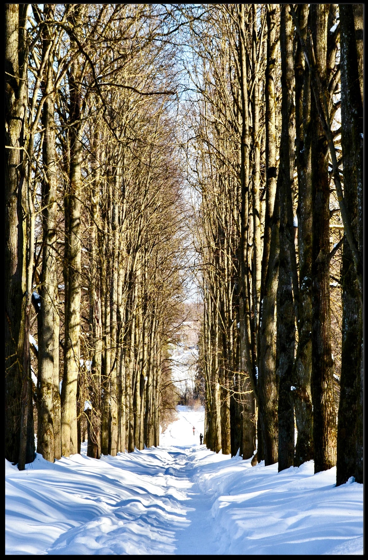 Winter Pathway Poster